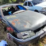 Foto 5