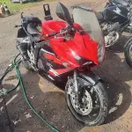 Foto 1
