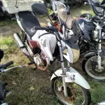 Foto 8