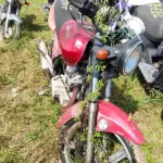 Foto 4
