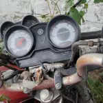 Foto 5
