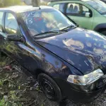 Foto 14