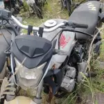 Foto 4