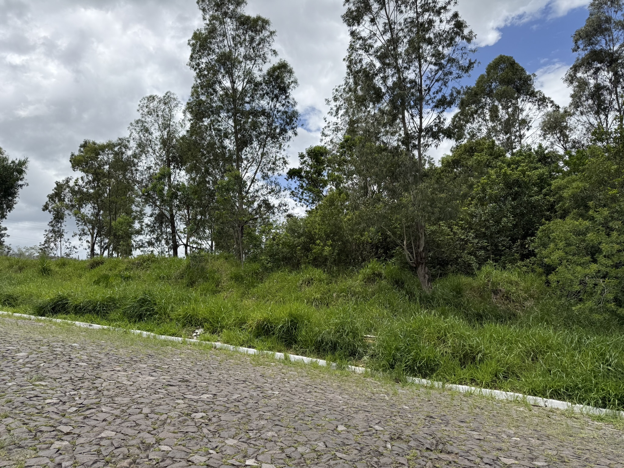 TERRENOS NOVEMBRO 2026